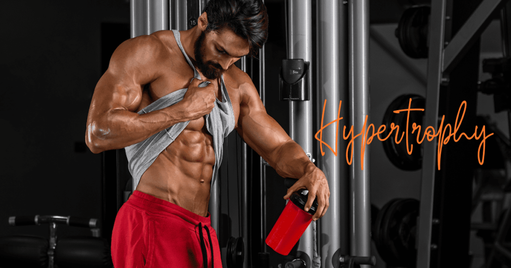 Hypertrophy workout